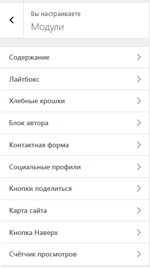 Раздел Кастомайзера в теме JournalX